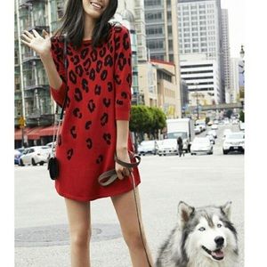 Express Half Sleeve Leopard Knit Dress